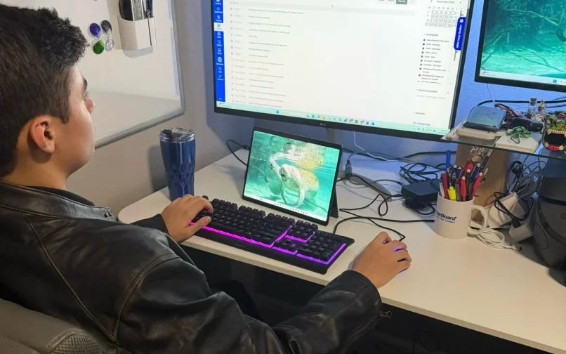 Ной за компьютером